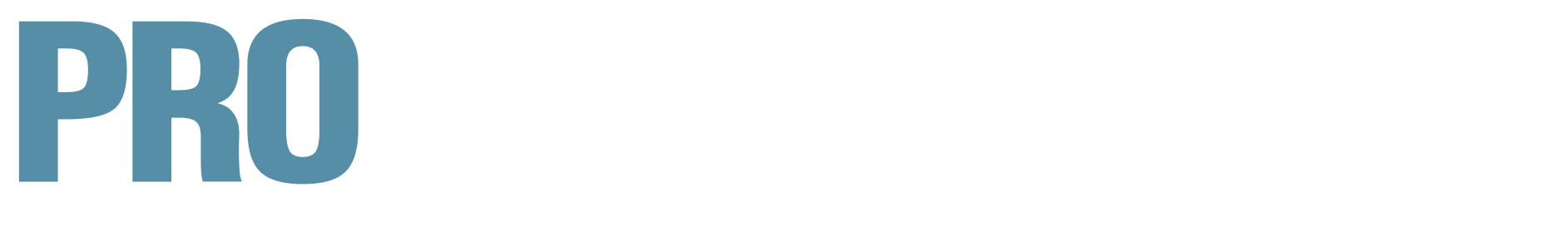 Logo_ProDevelopments_hvid